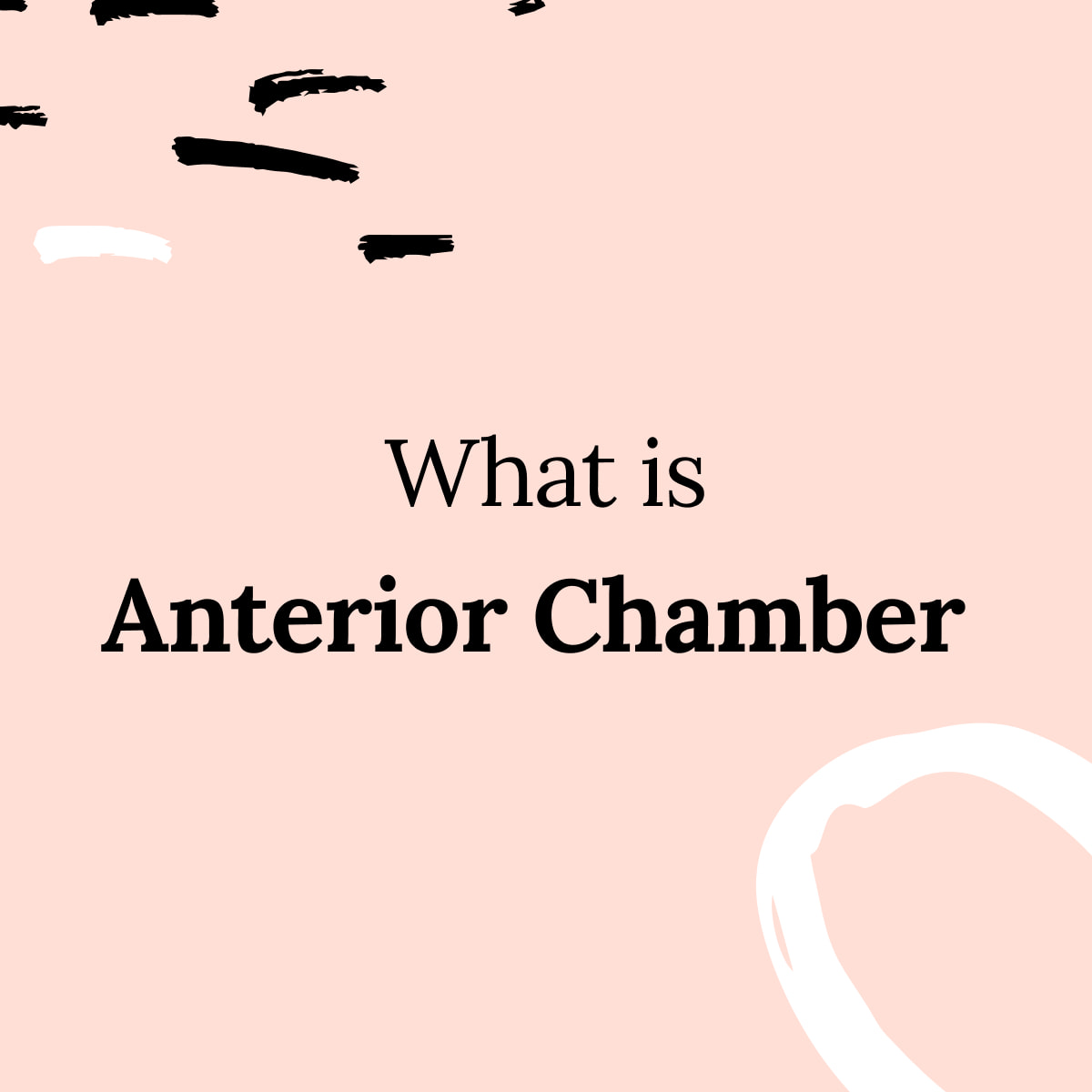 Anterior Chamber Definition 