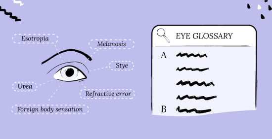 Eye Glossary Education