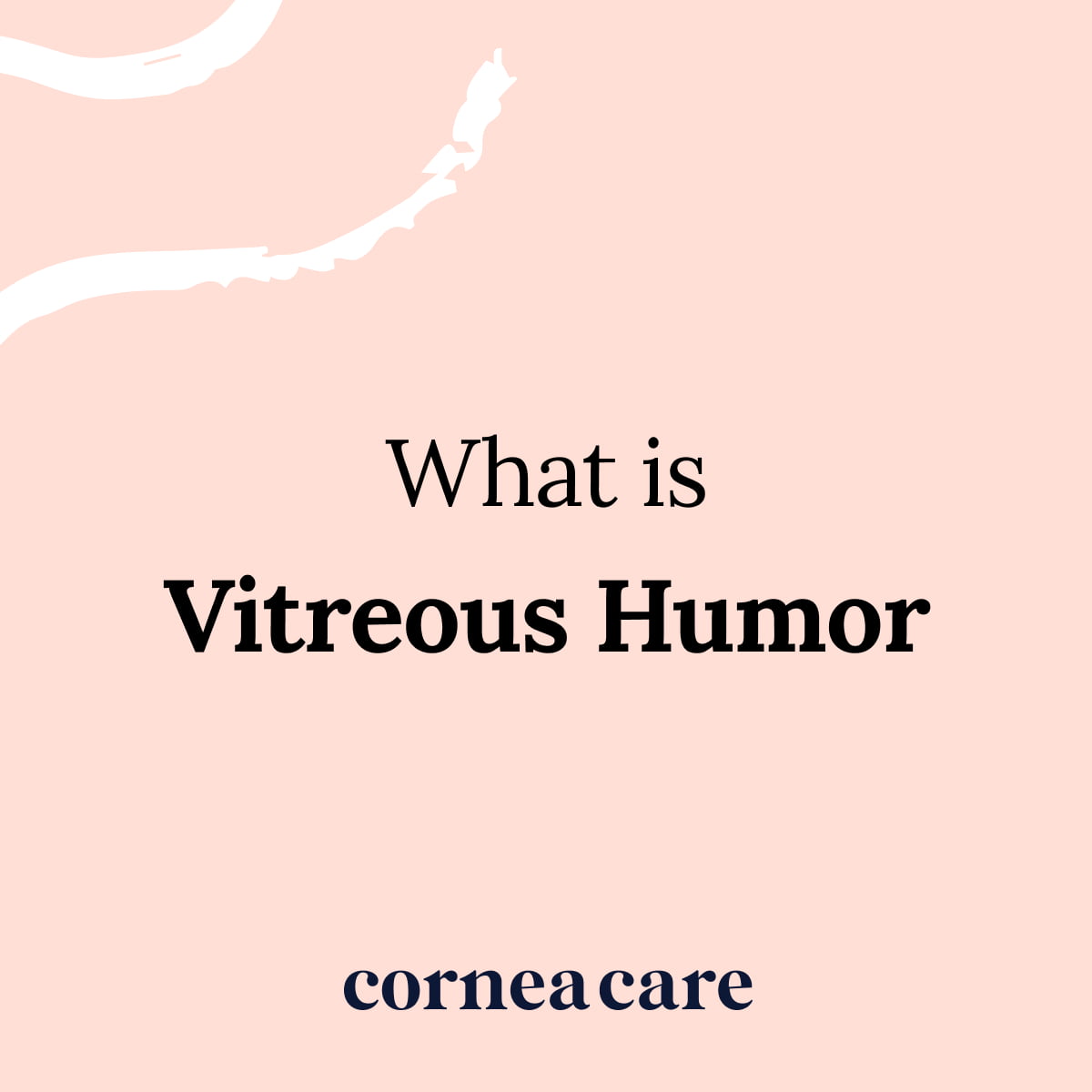 vitreous-humor-corneacare