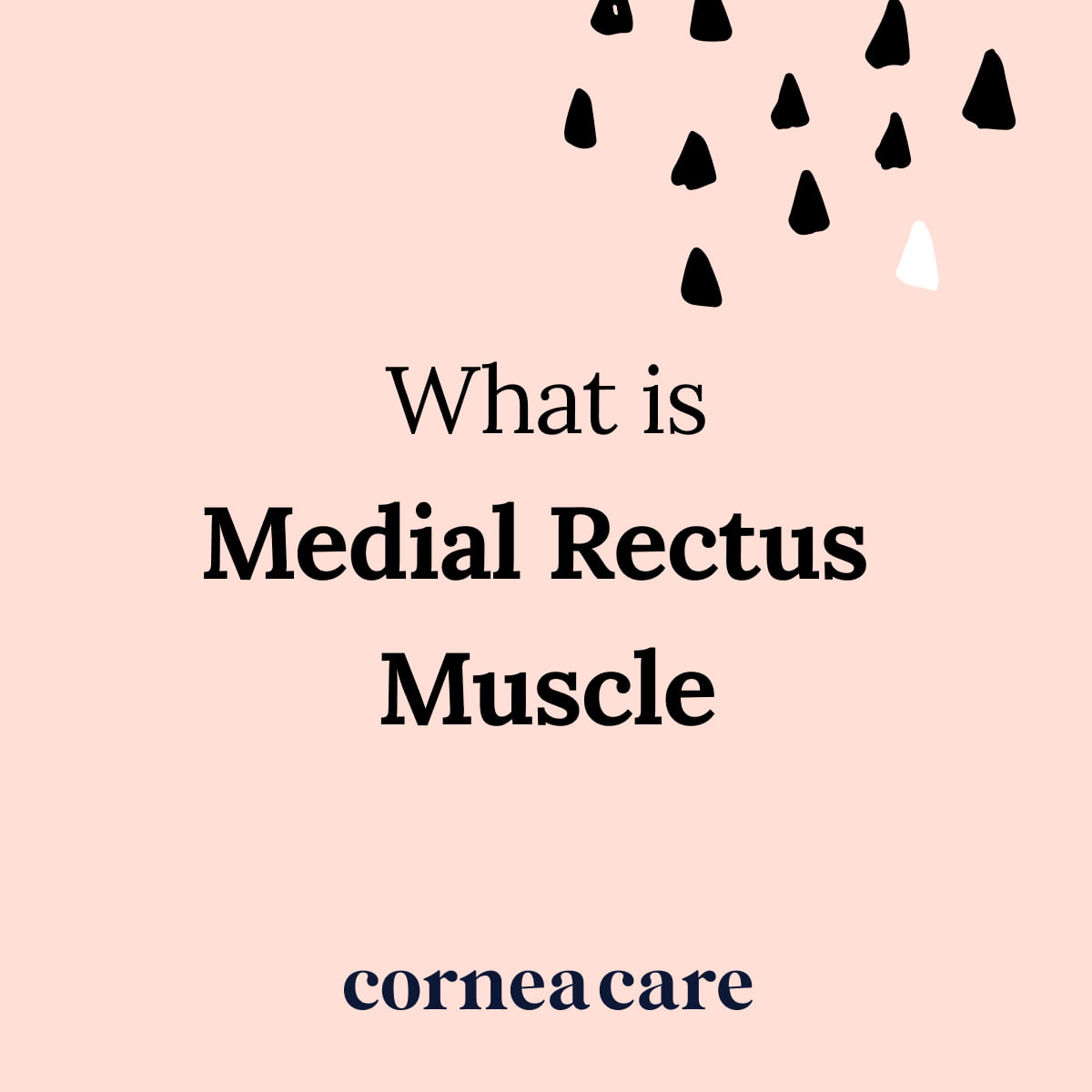 Medial Rectus Muscle Definition - CorneaCare